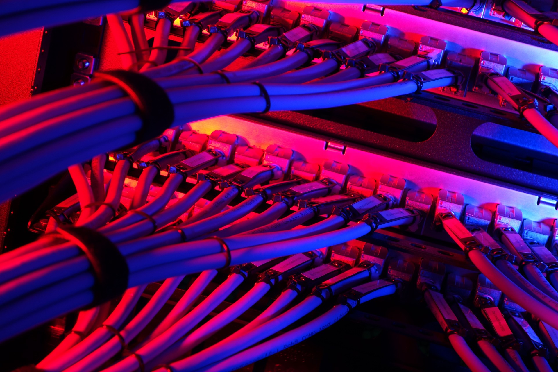 Colorful Network Cables in Server Rack